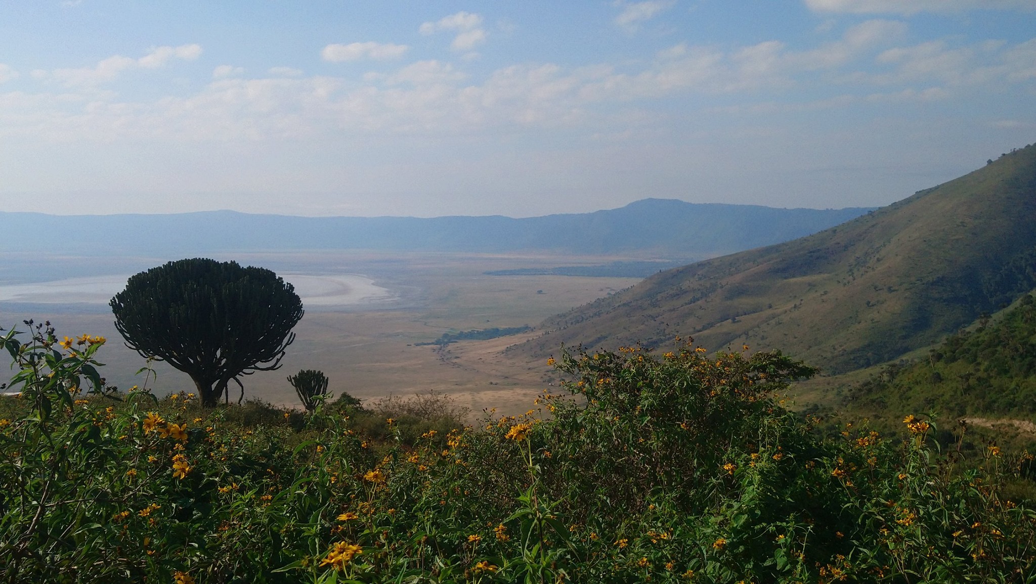 ngorongoro