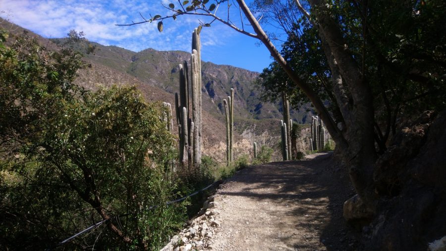 Grutas Tolantongo Hike