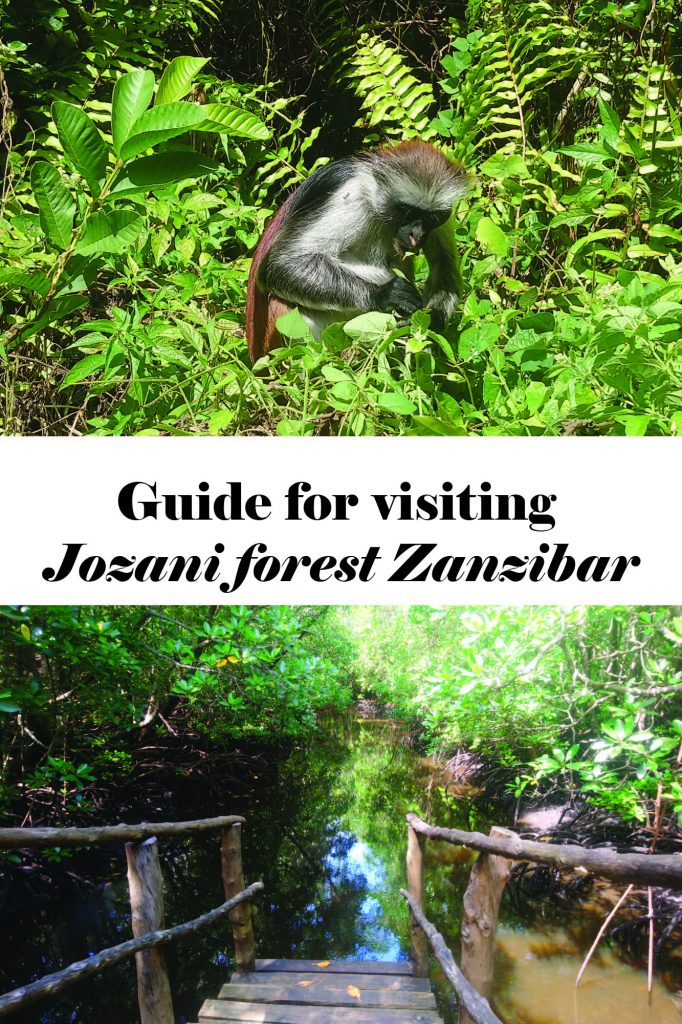 visiting jozani forest pin